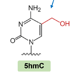 Mrkkmrkk Shaoqin Github - Classic Vintage Wallpaper - Ultra HD