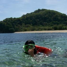 Arvi Service Github - Ultra HD Mobile Vintage Images | Free Download