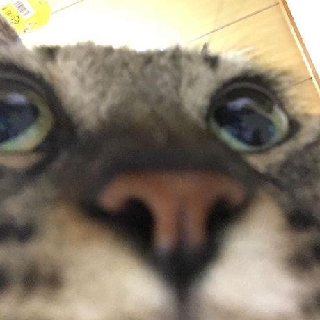 Kaylee00 Kaylee Williams Github - Artistic Light Illustration - Ultra HD