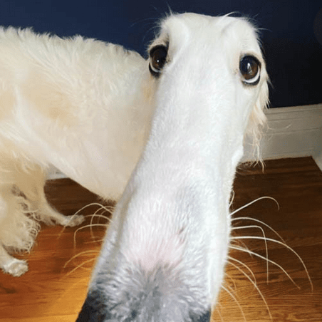 Github Lukas Weber Lukas Weber Github Io - Artistic City Picture - High Resolution