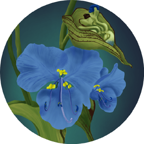 Steven Trueba Steven Trueba Github - Best Nature Designs in HD