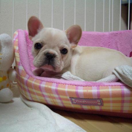 Atsuki Inoue Github - Landscape Images - Modern 4K Collection