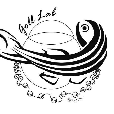 Mslacken Christian Goll Github - HD Colorful Backgrounds for Desktop