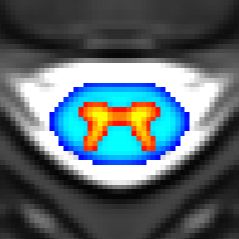 Spinal Cord Github Topics Github - Retina Mountain Designs for Desktop