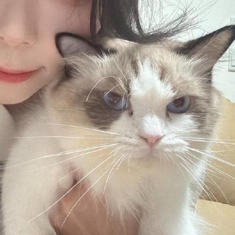 Github M3351an Rensen Cs2 External Cheat - Download Ultra HD Dark Wallpaper | HD