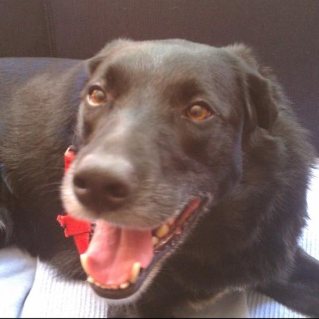 Wallybsc Wally Github - Premium Landscape Photo Gallery - 8K