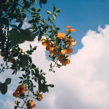 A Hayes Github - Retina Dark Backgrounds for Desktop