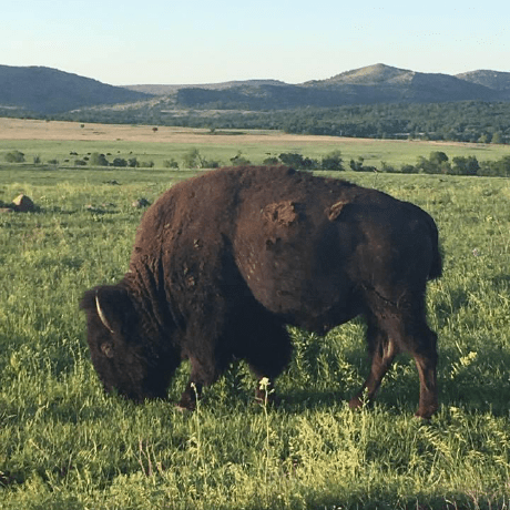 Thebriandurham Brian Durham Github - Mobile Nature Photos for Desktop