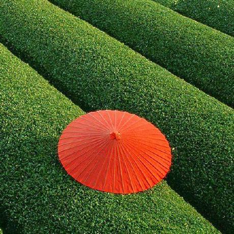 Stainless Nata Stainless Github - Download Creative Gradient Wallpaper | Retina