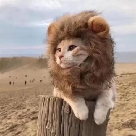 Tglancelot Artanis Github - Best Nature Illustrations in Ultra HD