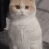 Github Sunburst7 Webrest Example - Creative Space Illustration - High Resolution