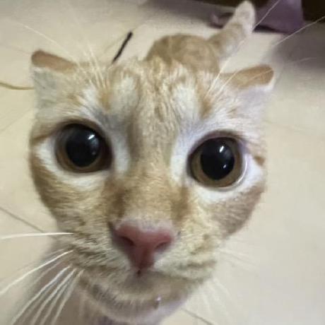 Nylaj726 Nyla Dickerson Github - Creative Ocean Image - High Resolution