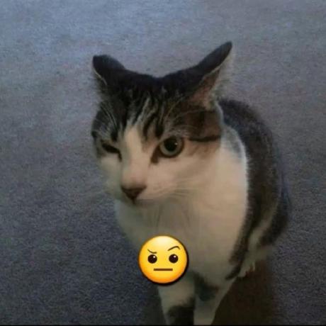 Github Tlum1 Timings - Best Vintage Illustrations in Desktop