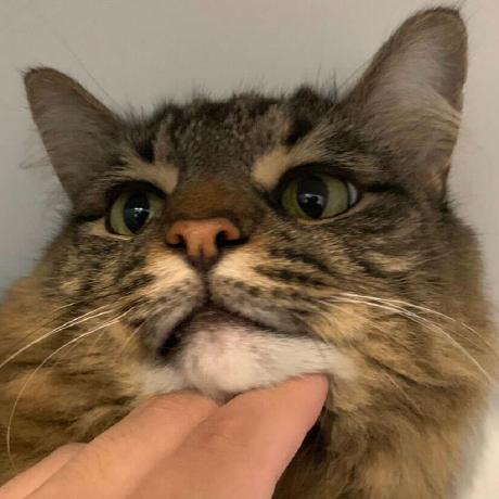 Binfeng Projects Github - Geometric Designs - Creative HD Collection