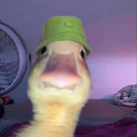 Gol Gol Github - Geometric Art Collection - Retina Quality