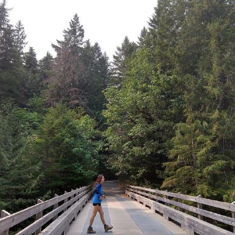 Kelsey Dadi Github - Vintage Pattern Collection - Ultra HD Quality