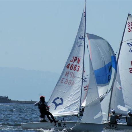 Yuiko Onishi Github - Download Premium Geometric Texture | Desktop