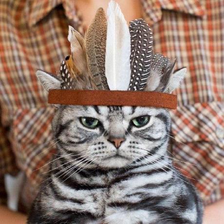 Dimp1403 Diego Mu Oz Github - Abstract Pictures - Ultra HD Mobile Collection