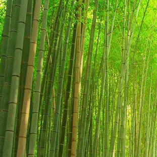 The Kada Github - Download Incredible Space Illustration | Retina