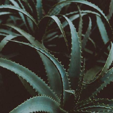 2 Water My Plants Github - Artistic Full HD City Designs | Free Download