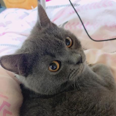 Sheslkw Like W Github - Download Professional Ocean Texture | Ultra HD