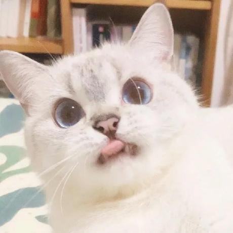 Github Not Sisyphus Sisyphus Ahmed Elattar - Colorful Texture Collection - High Resolution Quality