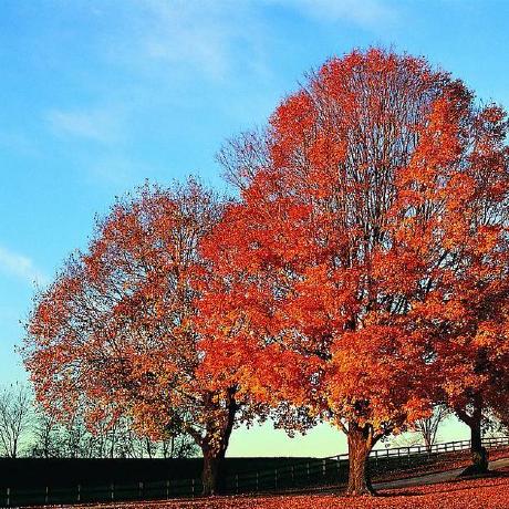 Github Zhi555 Webtool - Vintage Wallpaper Collection - High Resolution Quality