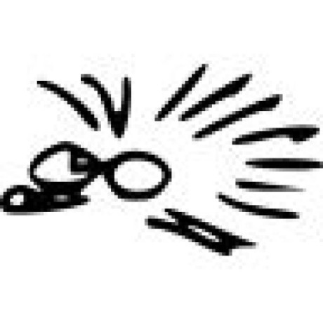 Lionel Bartel Lionel Github - City Picture Collection - Mobile Quality