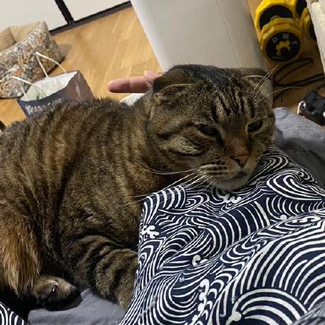 Github Wulabing V2ray Ws Tls Bash Onekey - Download Gorgeous Landscape Wallpaper | Mobile