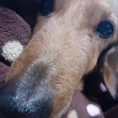 Github Banboo Glich Deeplearing Poseestimation Deeplabcut Velocity - Download Ultra HD Abstract Image | 4K