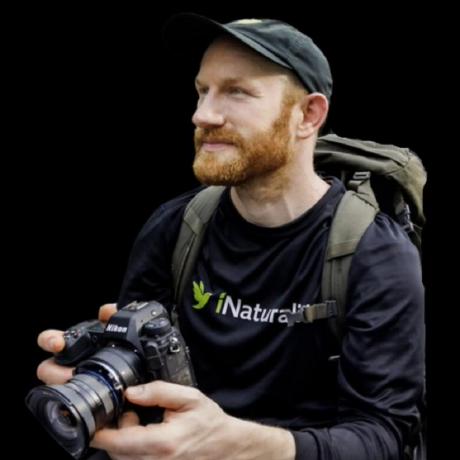 Alanrockefeller Alan Rockefeller Github - Sunset Textures - Creative 8K Collection