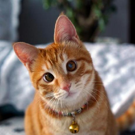 Github Trantondainghia Mad Lab 04 - Minimal Wallpaper Collection - Ultra HD Quality