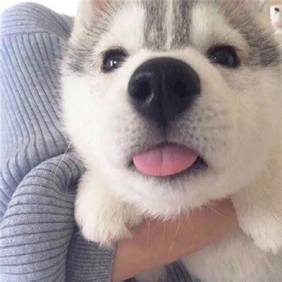 Onechen Aone Github - High Quality City Texture - 8K