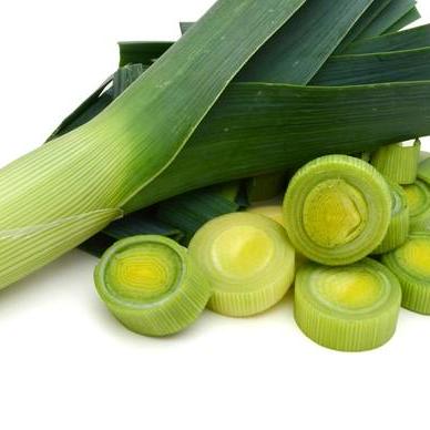 Phil Github - 8K City Wallpapers for Desktop