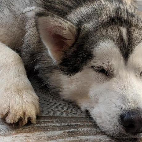 Clancyayres Clancy Github - Dark Art Collection - HD Quality