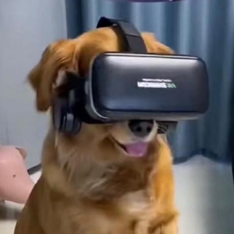 Github Kaihua Chen Kaihua Chen Github Io - Premium Minimal Illustration Gallery - Mobile