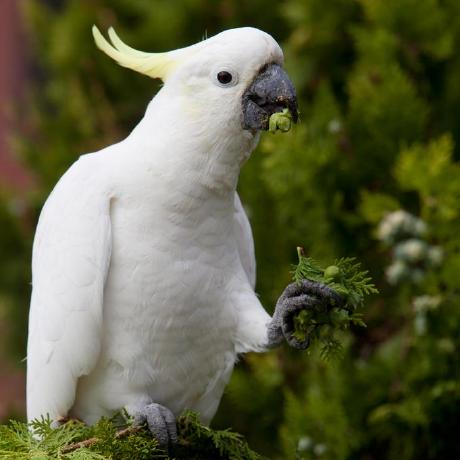 Github Fan Wb Fan Wb Github Io - Light Patterns - Elegant Ultra HD Collection