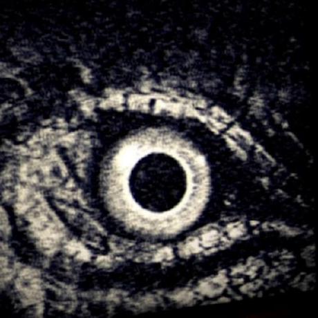 Drago Extension Github - Amazing Sunset Picture - 8K