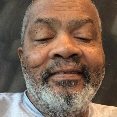 Vitalis Softwarehouse Github - Best Colorful Designs in Desktop