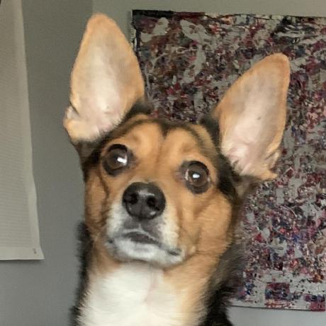 D3kit Timeline Examples Codesandbox - Dark Illustration Collection - Full HD Quality