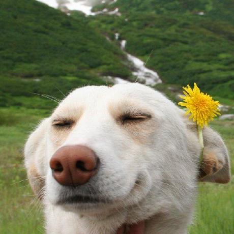 Martinostic Osikhuemhe Martin Github - Full HD Vintage Patterns for Desktop