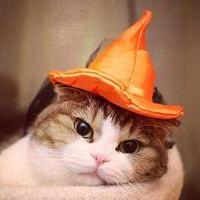 Adrian 618 Ziyan Qu Github - Professional Nature Wallpaper - HD