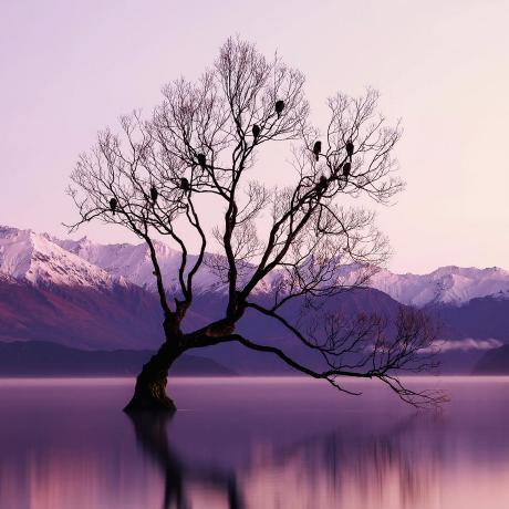 Saboor H Github - Premium Space Texture Gallery - 4K