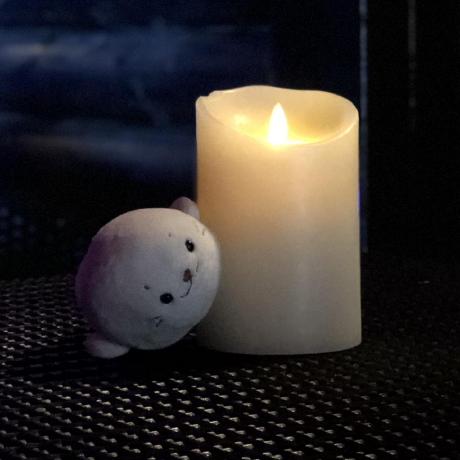 Github Davidamantunes Bns - Creative Nature Picture - Retina