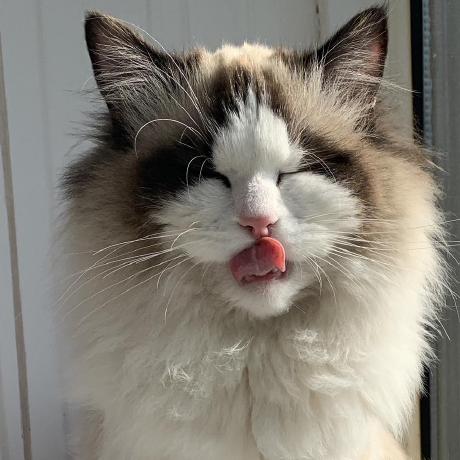 Li Chena Github - Ultra HD Mobile Geometric Arts | Free Download