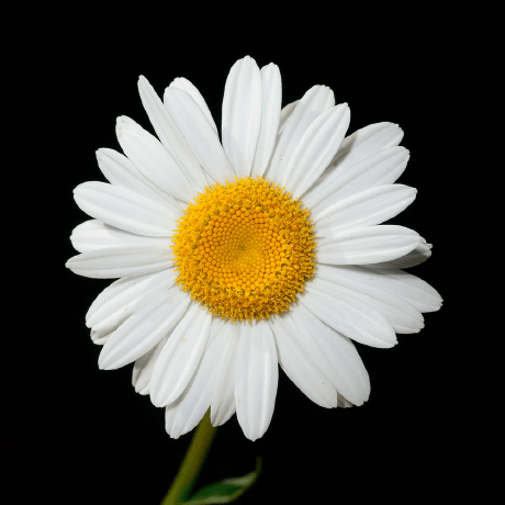 Github Atpur Rafif Parkir Itb Tubes - Download Creative Mountain Design | Desktop