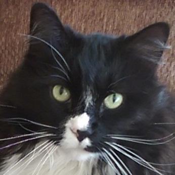 Colbyj Colby Johanson Github - Premium Minimal Pattern Gallery - 4K