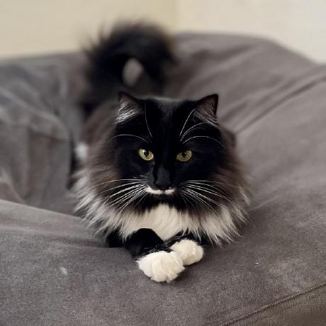 R Akiba Github - Nature Backgrounds - Professional Full HD Collection