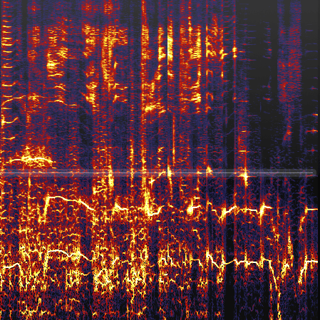 Github Aalex954 Evilginx2 Ttps Reverse Engineered To Remove Iocs - Ocean Pictures - Premium Retina Collection