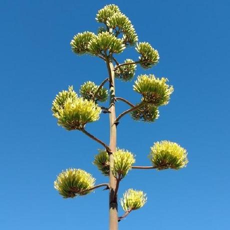 Github Phyronnaz Hashdag Interactively Modifying Compressed Sparse - High Resolution Gradient Designs for Desktop